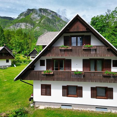 Sobe In Apartmaji Pri Ukcu Bohinj Luaran gambar