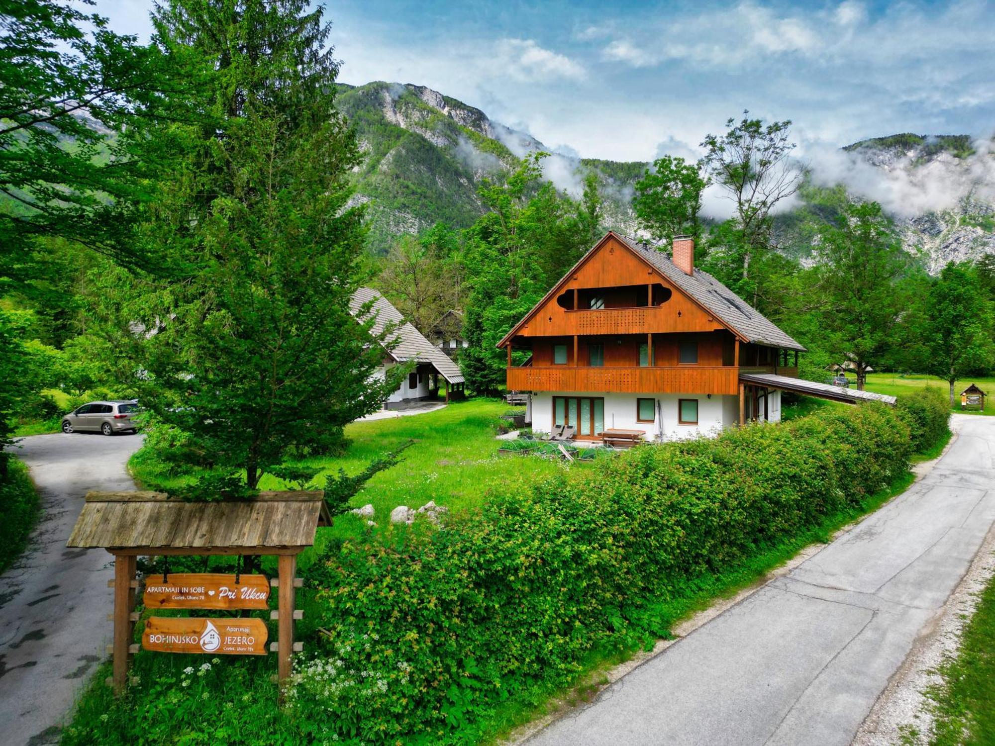 Sobe In Apartmaji Pri Ukcu Bohinj Luaran gambar