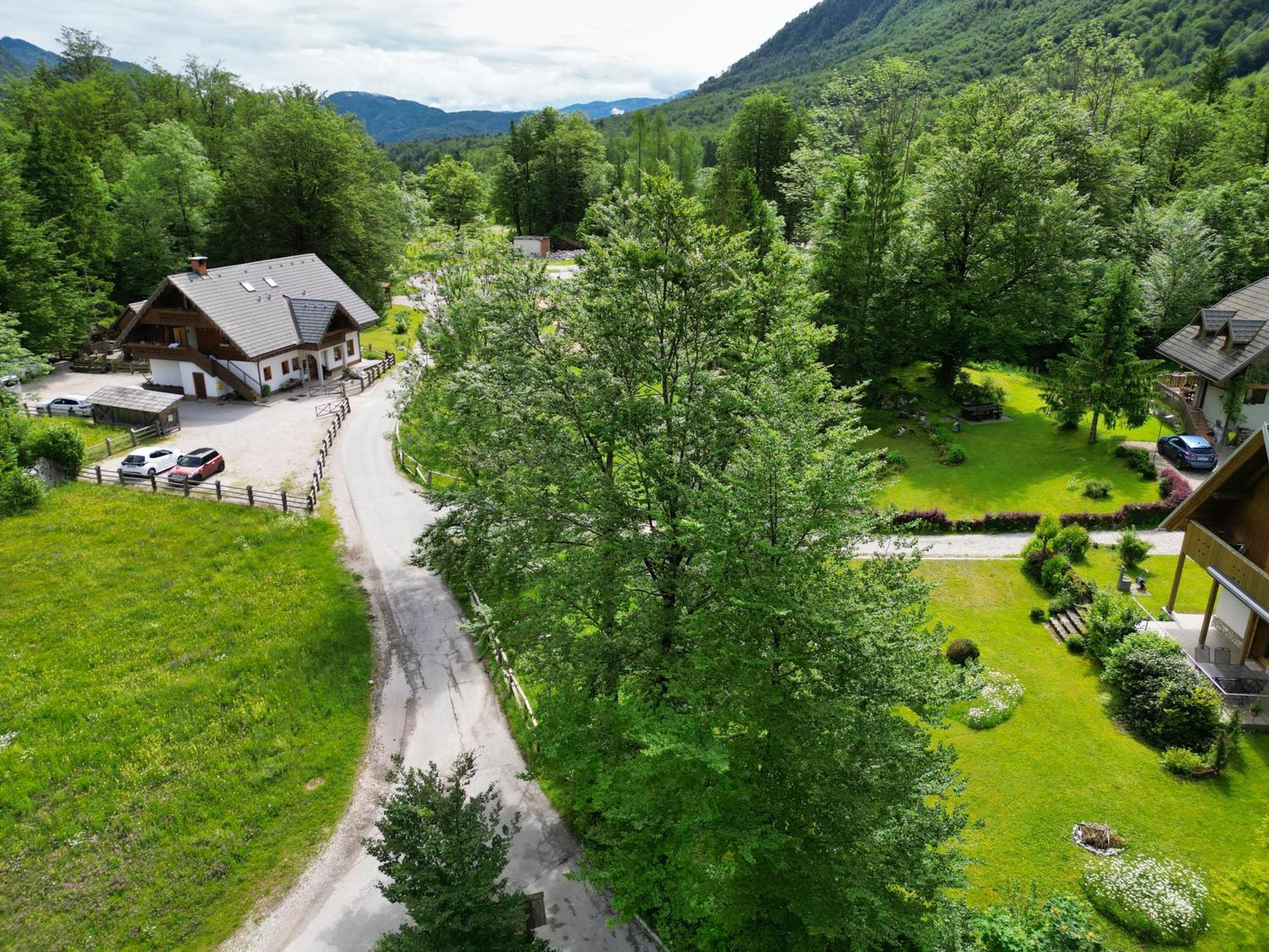 Sobe In Apartmaji Pri Ukcu Bohinj Luaran gambar