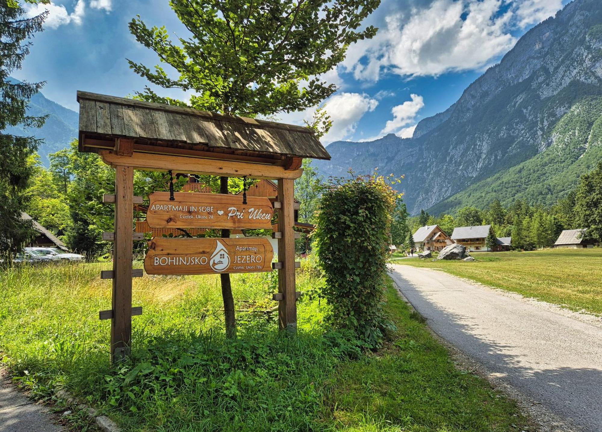Sobe In Apartmaji Pri Ukcu Bohinj Luaran gambar